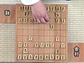 お茶の間の将棋番組で聞き手の知的美人な女流アシスタントの着衣横パイ隆起がボイン過ぎて邪魔で肝心の駒が見えなくてどうにも気になって終盤の勝負所で三手詰めが読めません