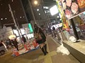 騙して中出し！Vol.02街でナンパした素人娘に100％本物中出ししちゃいます！