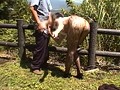 「えっ！ここでするの？」しちゃいけない場所でのどっきりエッチSHOW 激撮55連発