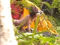 投稿者ヒデさん Y県S沢青少年キャンプ場 キャンプ場カップル盗撮ベスト 全公開！キャンプ場、テント内、野外で性行為をしてしまう若者のすべて