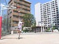 MEGA WOMAN バスケ177cm