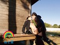 オマ●コ露出ビデオ ひびき（仮名） 大槻ひびき