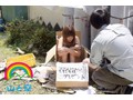 僕が偶然助けた女の子は、ドМ調教された性奴隷だった。あまりにも不憫だから、一緒に生活して優しくしてあげたところ… 紺野ひかる