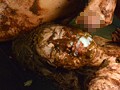 大便拷問研究所 ~危険な扉!恥辱まみれの快楽堕地獄~ 塚本アンナ 大便拷問研究所 ~危険な扉!恥辱まみれの快楽堕地獄~ 塚本アンナ