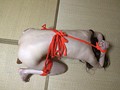 肉便器中出し乱交